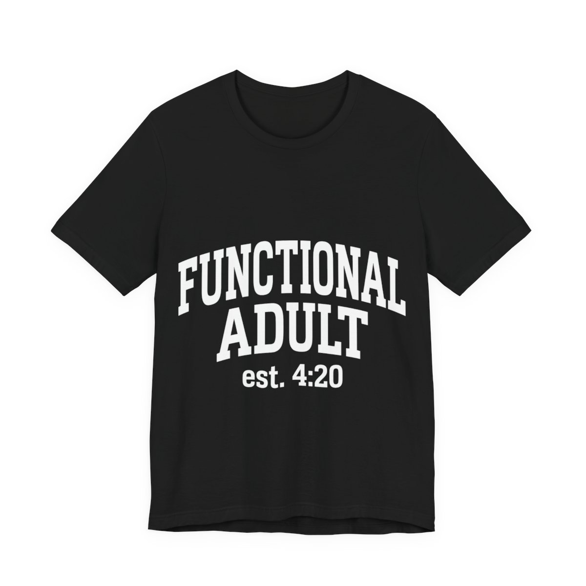 Functional Adult est. 4:20 t-shirt